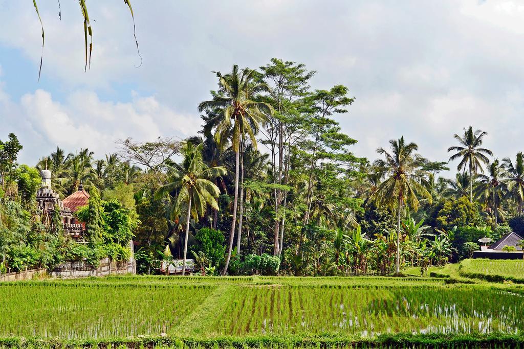 Ubud Kartini Hostel Eksteriør billede