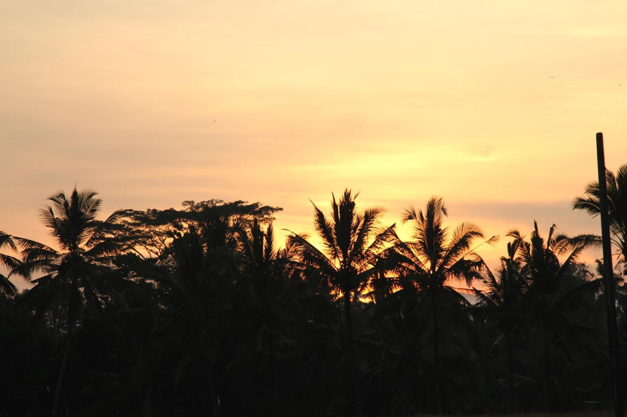 Ubud Kartini Hostel Eksteriør billede