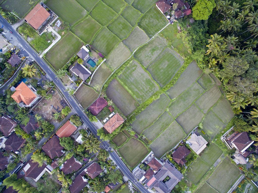 Ubud Kartini Hostel Eksteriør billede
